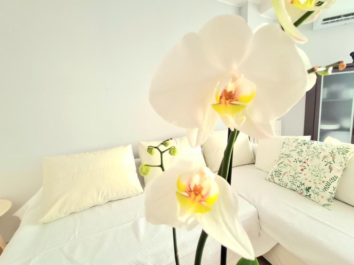 Aa Guest - El Mono De Torre Del Mar Eco Apartment Экстерьер фото