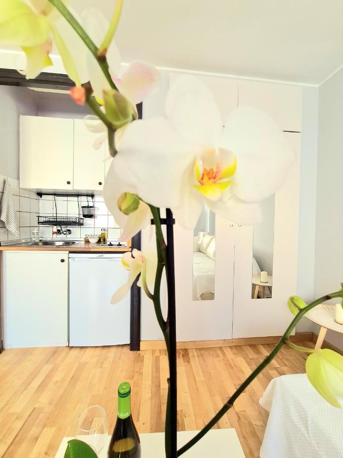 Aa Guest - El Mono De Torre Del Mar Eco Apartment Экстерьер фото