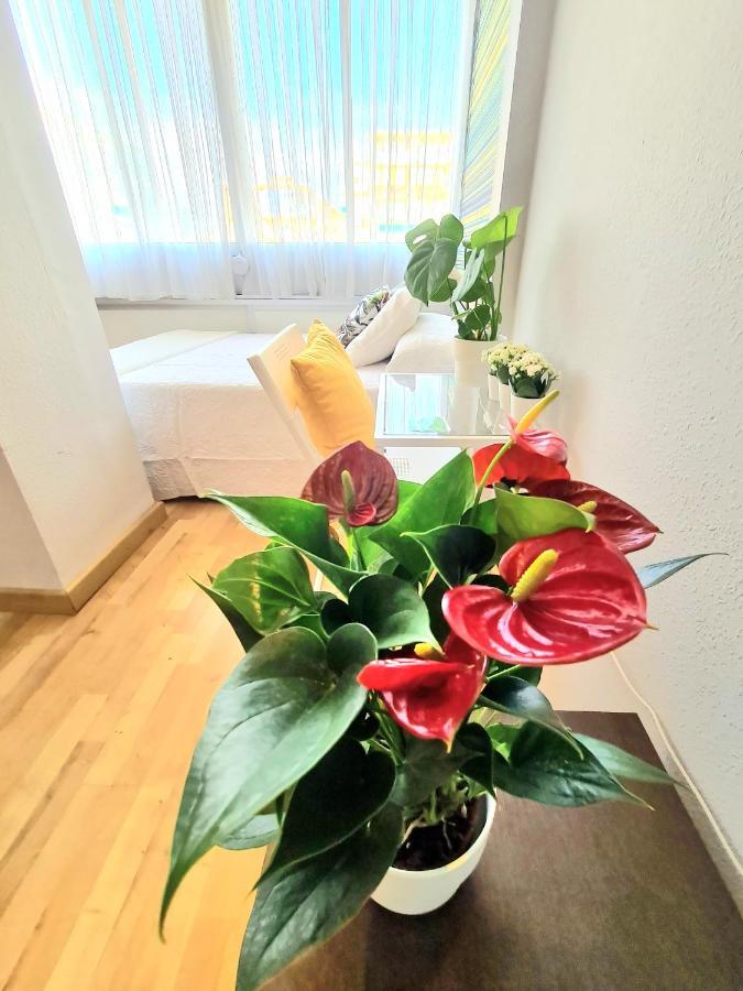 Aa Guest - El Mono De Torre Del Mar Eco Apartment Экстерьер фото